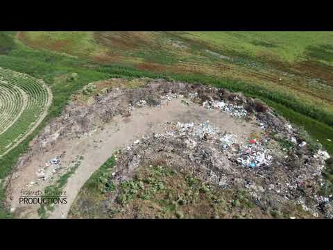 Dezastru ecologic la Peciu Nou, Timiș!