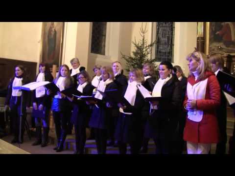 download lagu mp3 mp4 Coro D Oro, download lagu Coro D Oro gratis, unduh video klip Coro D Oro