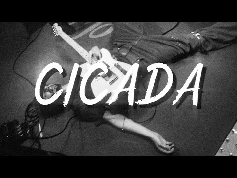 Good Kid Cicada song