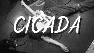 Good Kid Cicada song