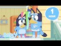 Rise And Shine With Bluey ️ 1 HOUR New Bluey Compilation Bluey