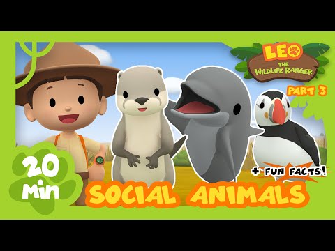 Social Animals (Part 3/3) - Exciting & Educative Animals Stories for Kids | Leo the Wildlife Ranger