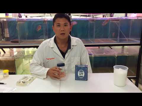 What salt is safe? Fish Vet's advice on using salt for freshwater fish in aquariums and ponds