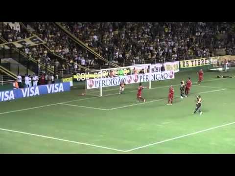 Criciúma 3 x 0 Noroeste - TV Litoral Sul