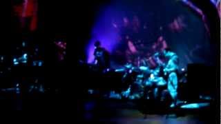 animal collective - lion in a coma / cobwebs - hollywood bowl