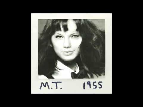 AshCoolBro - Stay Plastic (Mariya Takeuchi  x  Taylor Swift)