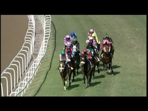 20200725 Hollywoodbets Greyville express clip Race 3 won by SOVEREIGN SPIRIT