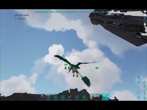 😈 ARK PVP - PC GRIFFIN PLAYER - (EPICARK/ARKELITE/ARKDEX) ❄️