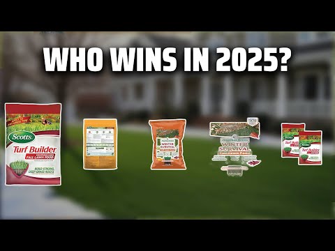 The Top 5 Best Winter Lawn Fertilizer in 2025 - Must Watch Before Buying!