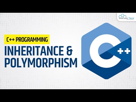 What are the Concepts of Inheritance and Polymorphism | OOP in C | C for Beginners