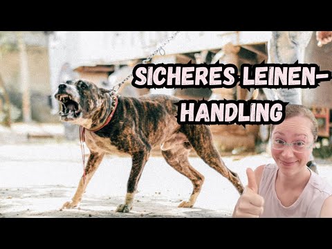 Starke Hunde sicher halten - Leinenhandling für Leinenpöbler