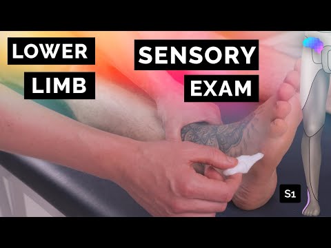 Sensory Assessment of the Lower Limbs - OSCE Clip | UKMLA | CPSA | PLAB 2