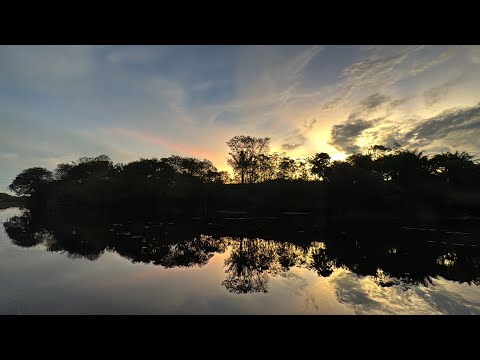 Sunset in the Amazon rainforest, Rio Negro, Manaus, Brazil. A truly magical place!