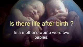 Is there Life after Birth ?