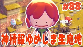 ゆめしまで貰える生息地って神情報じゃね？ part88【ぽこあポケモン】