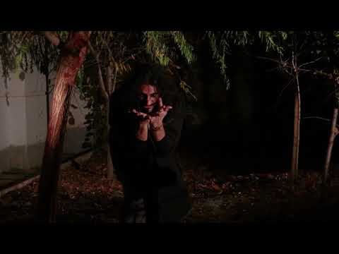 Promotional video thumbnail 2 for Hesam Zamiri