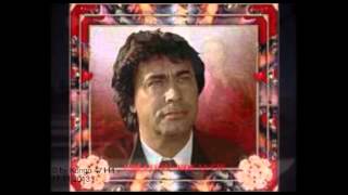 Roy Black - Sand in deinen Augen