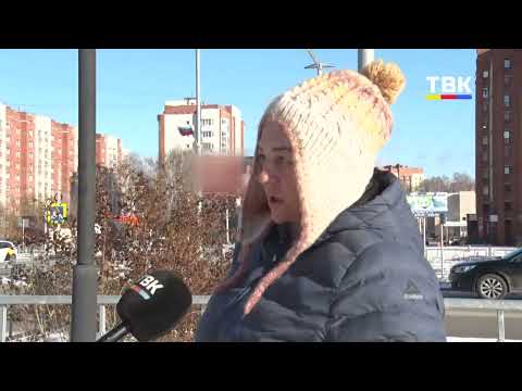 Собачье дело: почему собаки разделили город на два лагеря