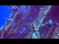 The carnatic shipwreck - scuba diving Egypt red sea iconic