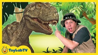 T-Rex Giant Life Size Dinosaur & Park Ranger Aaron with Dinosaur Surprise Toys Opening