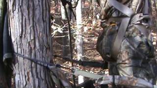 preview picture of video 'Bowhunting in Webster County, WV 2008'