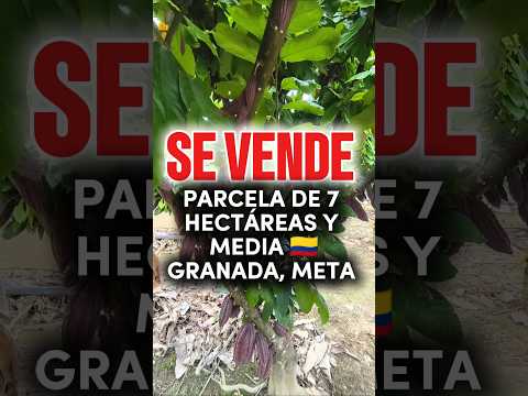 SE VENDE PARCELA 7 HECTÁREAS Y MEDIA 🇨🇴