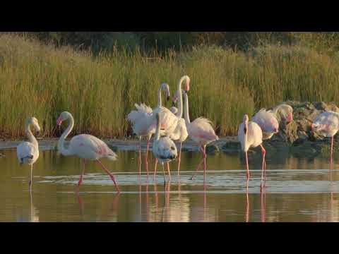 Budoni, Your Natural Eden.