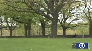 VIDEO: Pollen count climbing in Connecticut