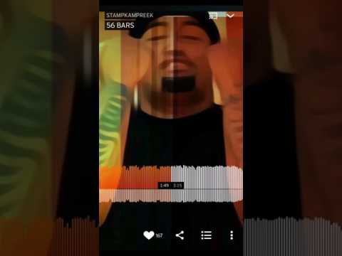 StampKampReek - 56 Bars