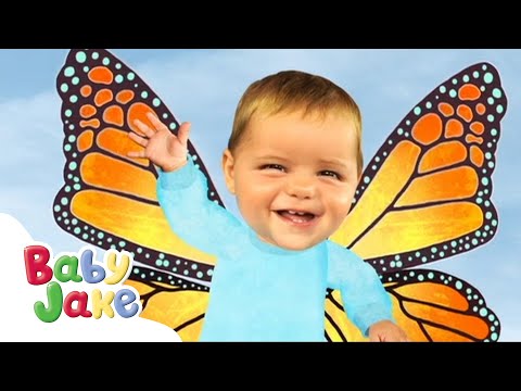 Baby Jake | Beautiful Bugs! 🐞 | Full Episodes