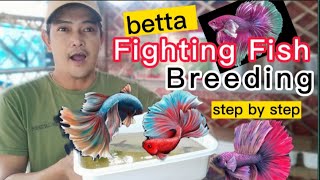 PAANO MAG BREED NG BETTA/FIGHTING FISH | BETTA BREEDING STEP BY STEP | PAANO PARAMIHIN ANG BETTA