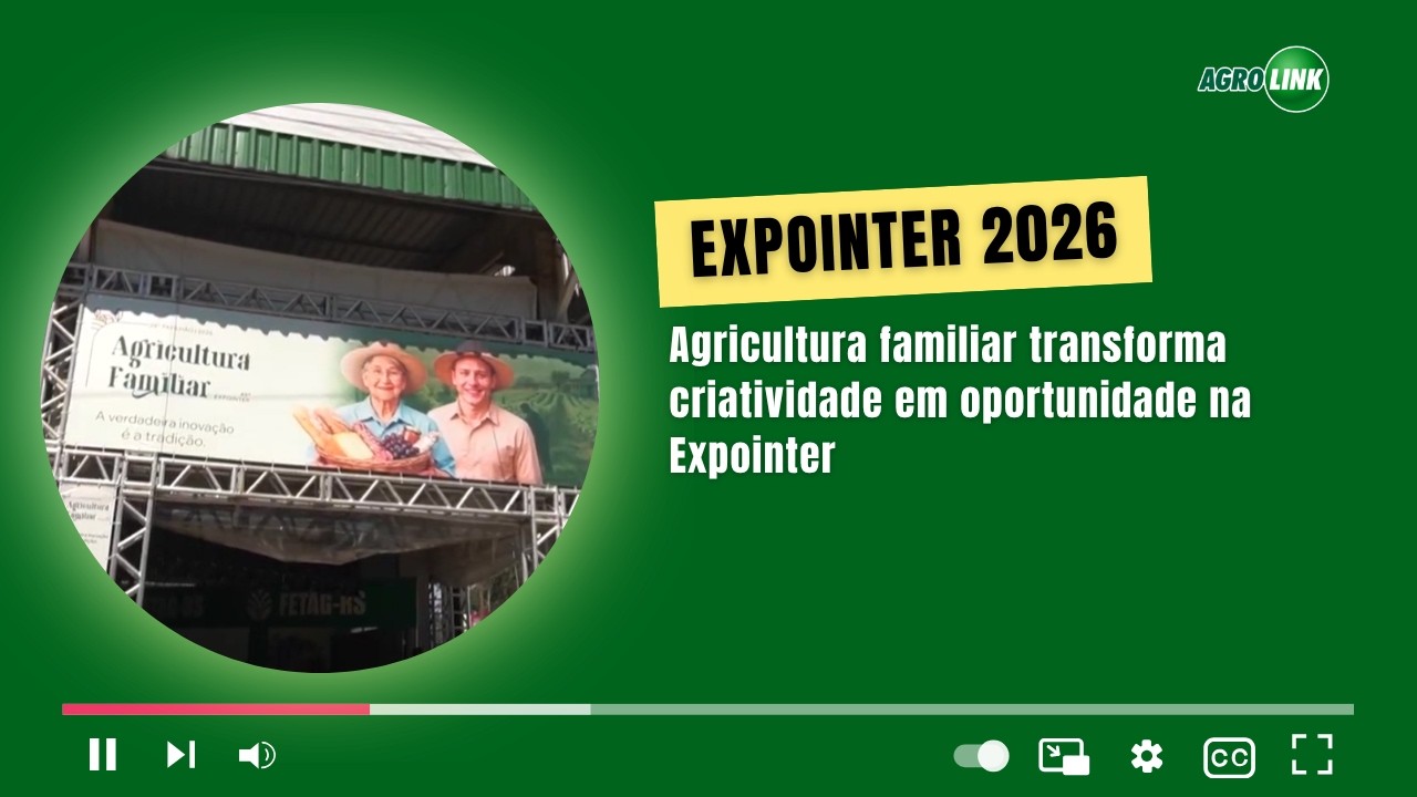Agricultura familiar transforma criatividade em oportunidade na Expointer