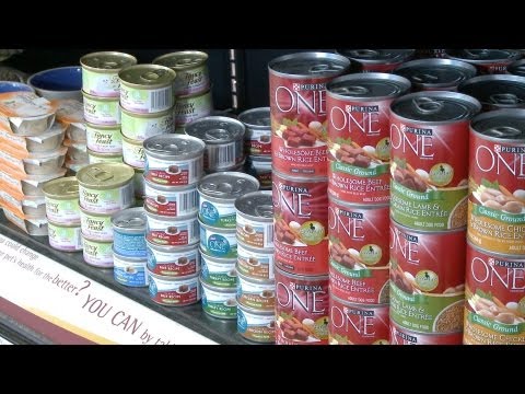 Expensive Dog Food May be a Waste of Money