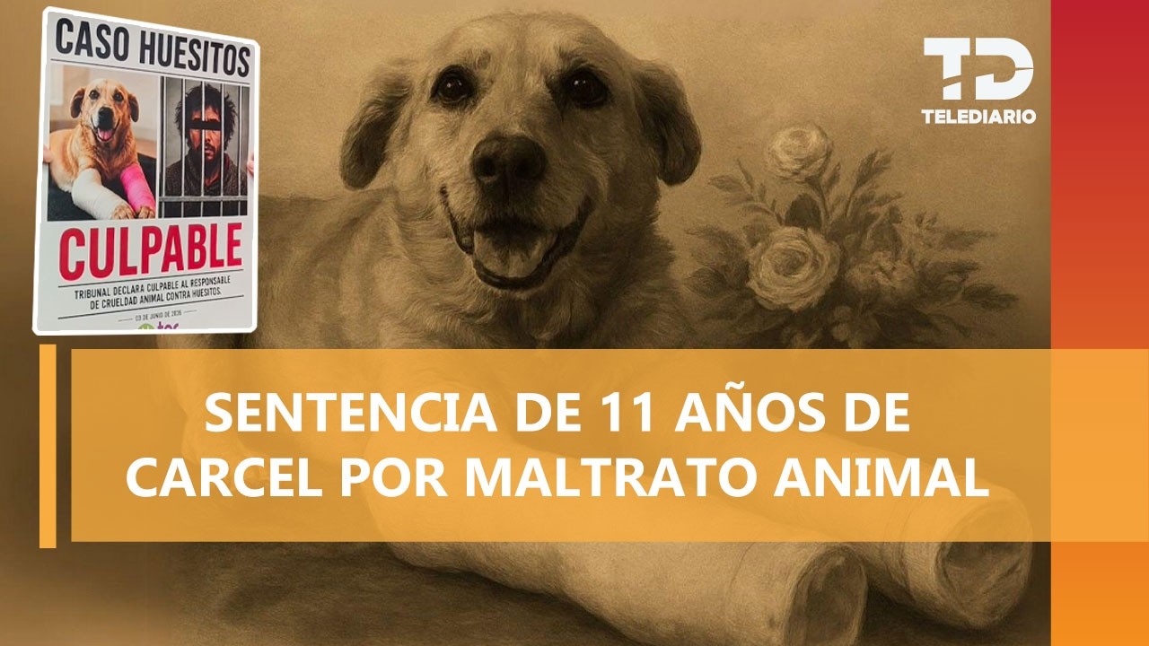 ¡Justicia! Imponen sentencia máxima al agresor del perro Huesitos por crueldad animal en Puebla