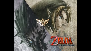 【実況】ザントをぶちのめしてやる【ゼルダの伝説トワイライトプリンセス】