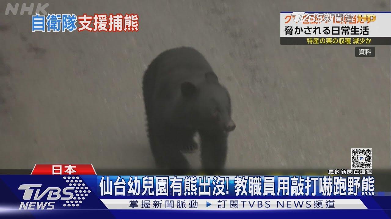 仙台幼兒園有熊出沒! 合掌村警戒 自衛隊學捕熊技巧