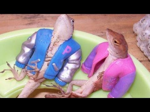 05. Kuba Knap - Spliff club gościnnie Mada - Bez nerwów, bez złudzeń