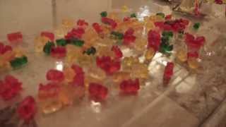 If Gummy Bears Could Talk