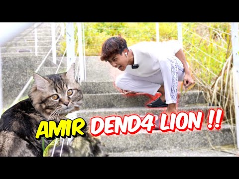 AMIR DEND4 LION !! - LION TAK DENGAR CAKAP !