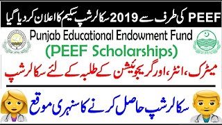 Peef ScholarShips For Matric And Inter Passed Stud