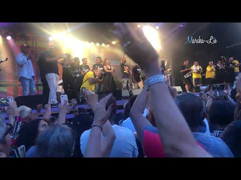 All Artist from Maluku - Gandong E (Kwaku Festival 2019)