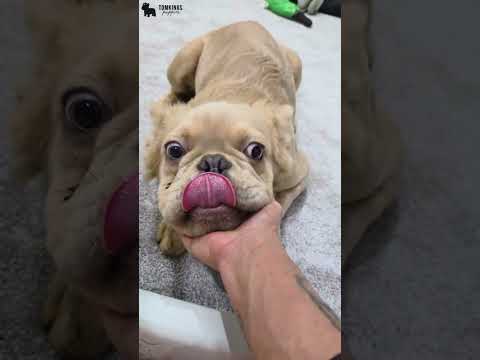 Video 3