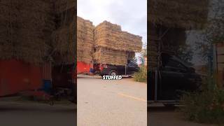 Why are pickup trucks so common on American streets, but so rare in China? #knowledge #pickuptruck