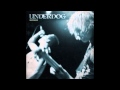 Underdog - A Lot To Learn