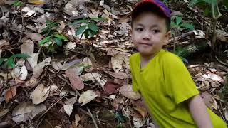 preview picture of video 'Hiking with kids 5/5/2018'