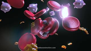 Blood cells aggregation