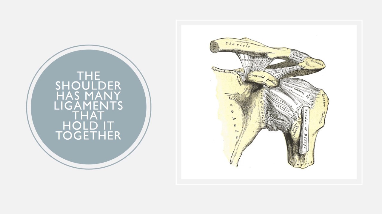 Shoulder Popping with No Pain Good News or Bad News? Regenexx Blog