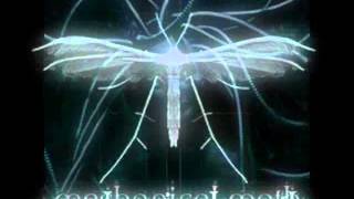 Mechanical Moth / Seelenzorn - Nicht für immer dein