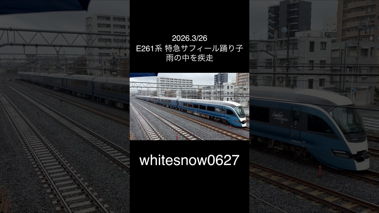 E261系 特急サフィール踊り子 #train #trainvideos #railway #railroad #trainvideo #電車 #japantrain #鉄道動画
