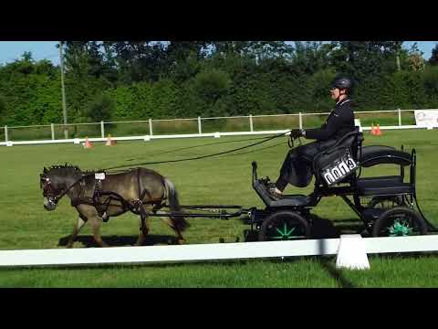 Fahrturnier Dörenthe 12.6.2022